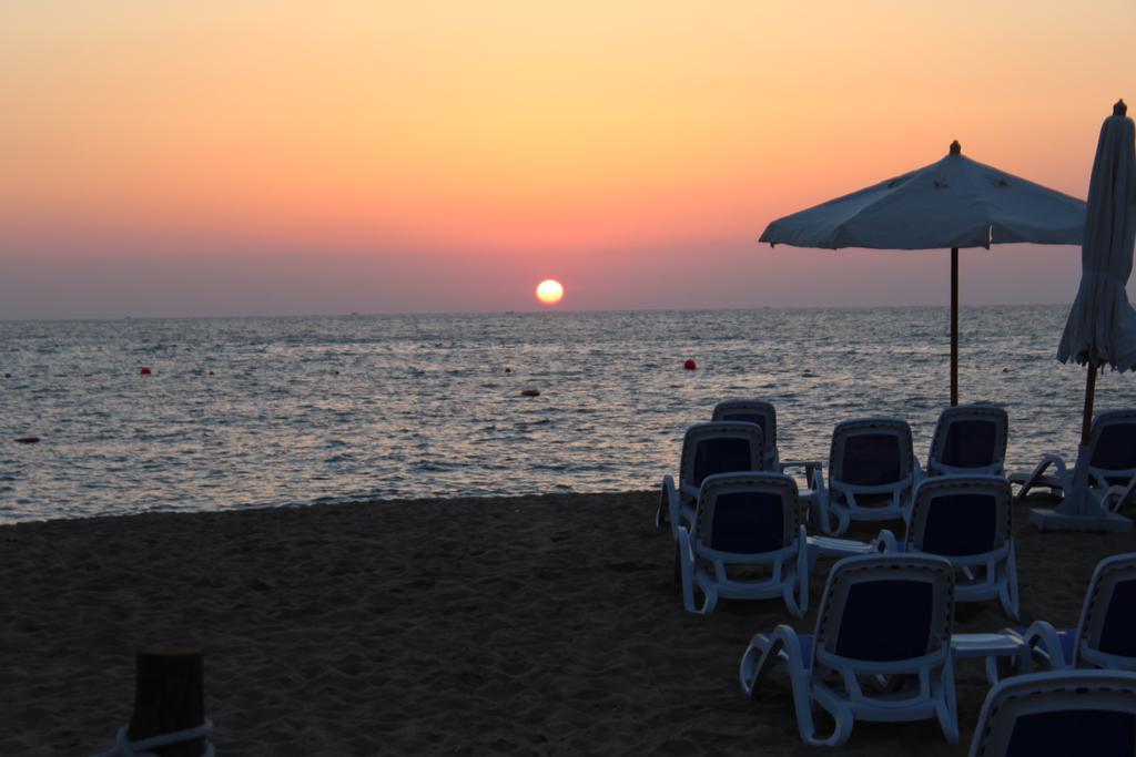 Tolip Hotel Alexandria Bagian luar foto The beach at the resort